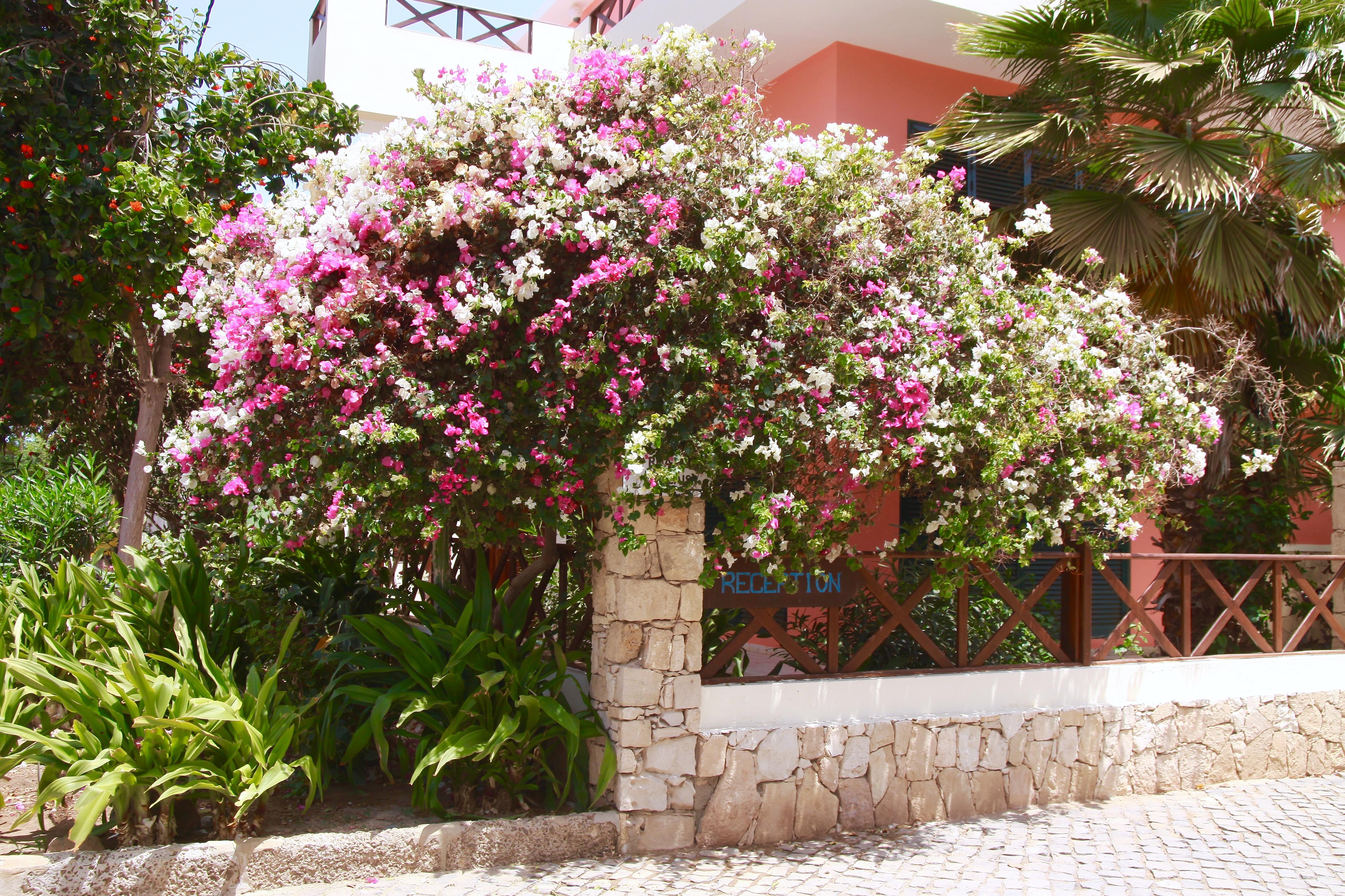 Aparthotel Ponta Preta Santa Maria